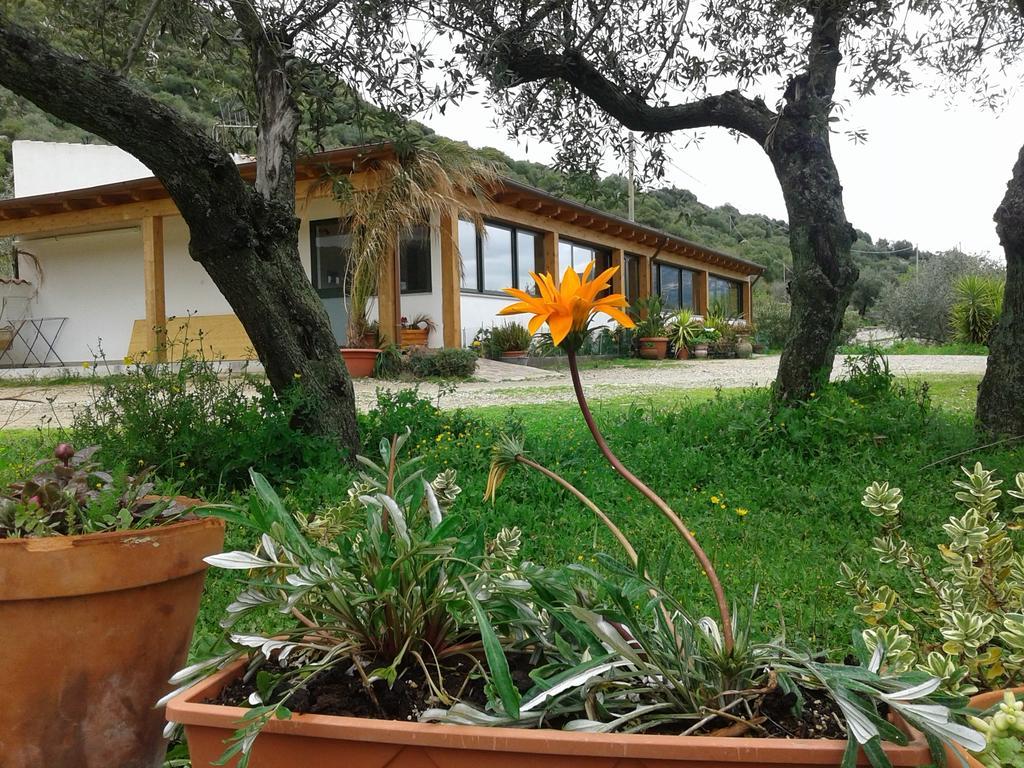 Agriturismo Locoe Ольена Экстерьер фото