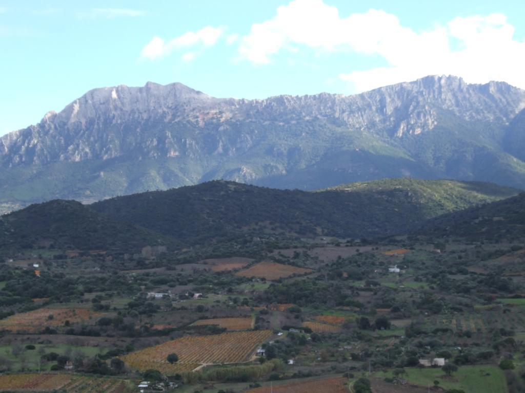 Agriturismo Locoe Ольена Экстерьер фото
